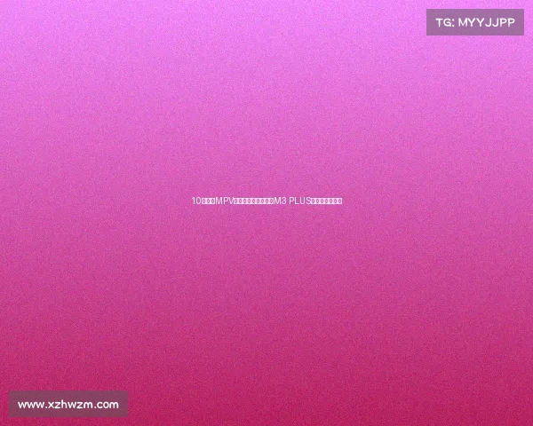 10以下买MPV是真行，网友：瑞风M3 PLUS能家用也能拉货